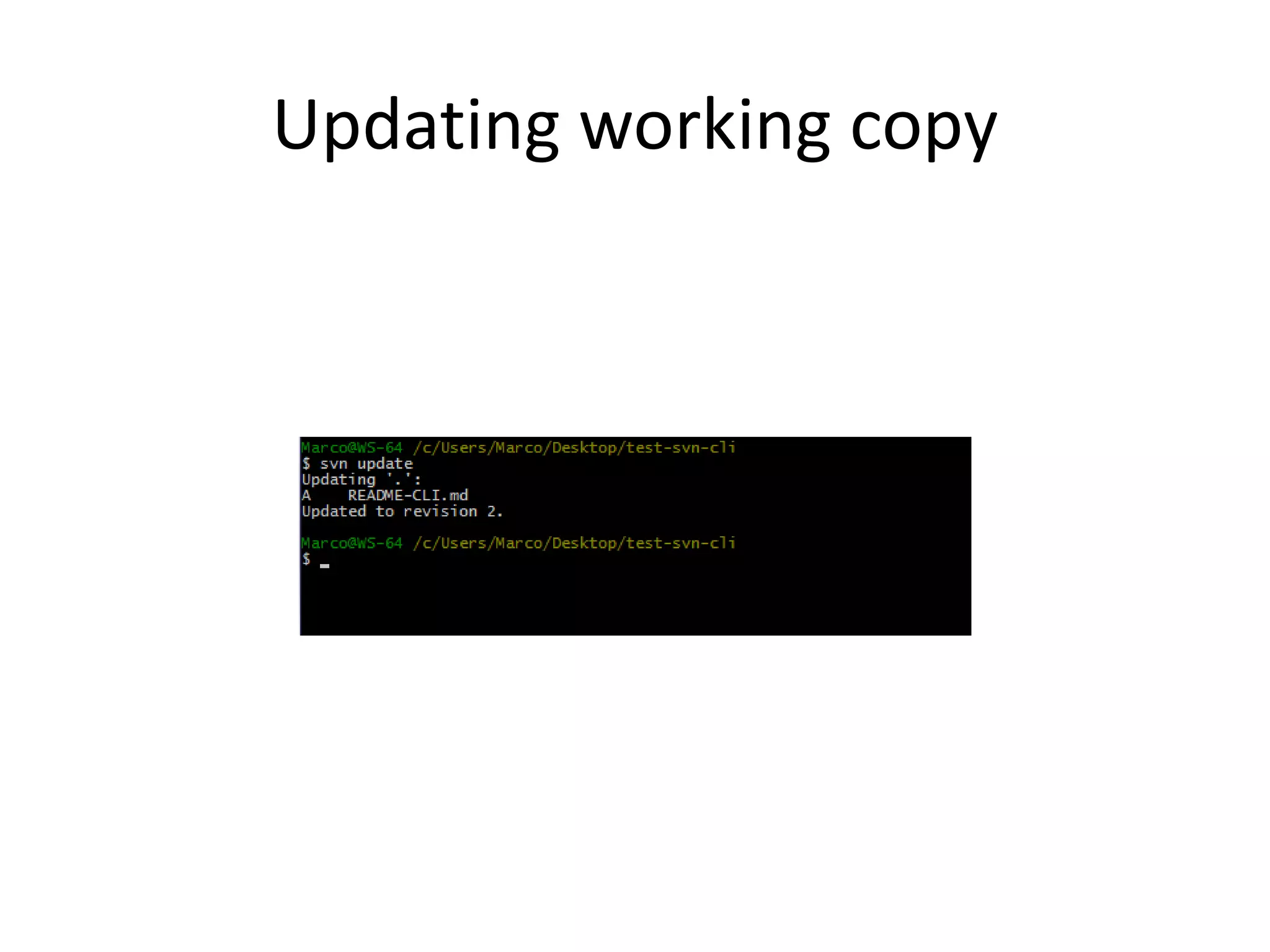 Updating working copy
 