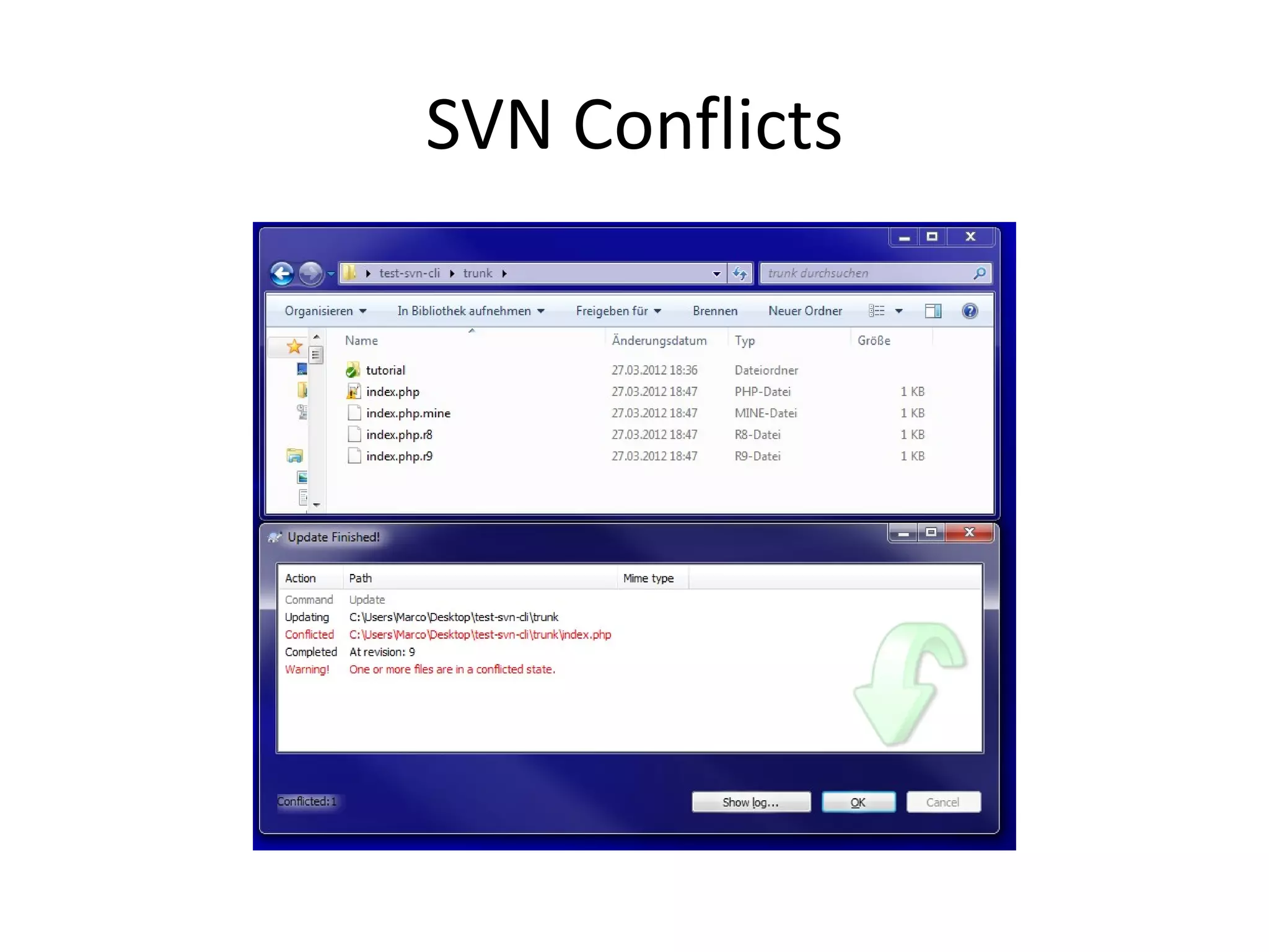 SVN Conflicts
 