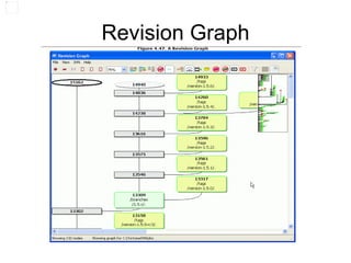 Revision Graph 