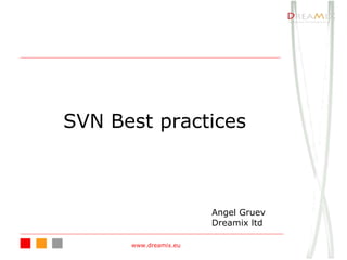 SVN Best practices
www.dreamix.eu
Angel Gruev
Dreamix ltd
 