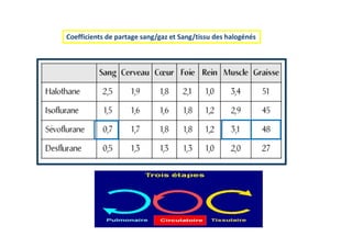 Coefficients de partage sang/gaz et Sang/tissu des halogénés
 