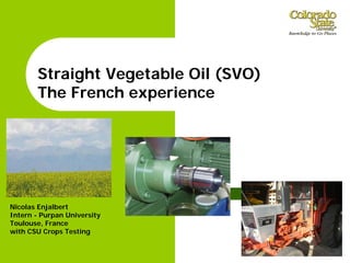 Straight Vegetable Oil (SVO)
       The French experience




Nicolas Enjalbert
Intern - Purpan University
Toulouse, France
with CSU Crops Testing
 
