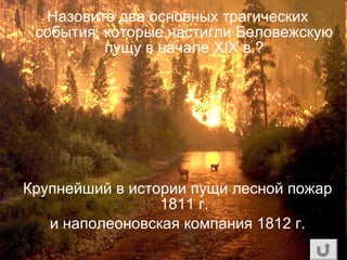 Назовите два основных трагических
события, которые настигли Беловежскую
пущу в начале XIX в.?
Крупнейший в истории пущи лесной пожар
1811 г.
и наполеоновская компания 1812 г.
 