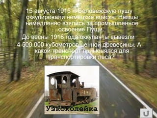 15 августа 1915 г. Беловежскую пущу
оккупировали немецкие войска. Немцы
немедленно взялись за промышленное
освоение Пущи.
До весны 1918 года оккупанты вывезли
4 500 000 кубометров ценной древесины. А
какой транспорт применялся для
транспортировки леса?
Узкоколейка
 