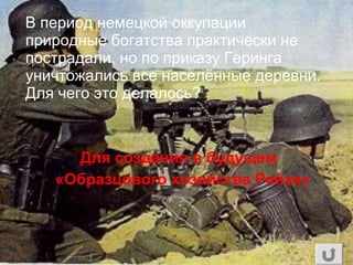 В период немецкой оккупации
природные богатства практически не
пострадали, но по приказу Геринга
уничтожались все населённые деревни.
Для чего это делалось?
Для создания в будущем
«Образцового хозяйства Рейха»
 