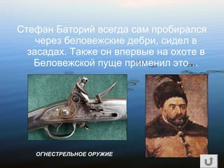 Стефан Баторий всегда сам пробирался
через беловежские дебри, сидел в
засадах. Также он впервые на охоте в
Беловежской пуще применил это…
ОГНЕСТРЕЛЬНОЕ ОРУЖИЕ
 