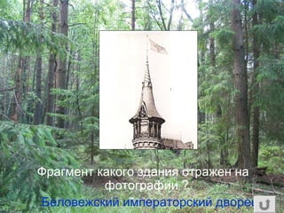 Фрагмент какого здания отражен на
фотографии ?
Беловежский императорский дворец
 