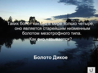 Таких болот как это в мире только четыре,
оно является старейшим низменным
болотом мезотрофного типа.
Как оно называется?
Болото Дикое
 