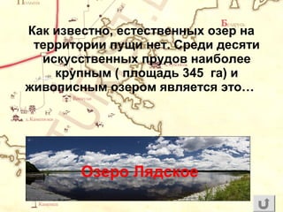 Как известно, естественных озер на
территории пущи нет. Среди десяти
искусственных прудов наиболее
крупным ( площадь 345 га) и
живописным озером является это…
Озеро Лядское
 