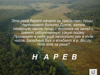 Эта река берет начало за пределами пущи,
пересекает болото Дикое, затем
северную часть пущи с востока на запад и
имеет заболоченную узкую пойму.
Принмает в себя ещё несколько рек в том
числе Западный Буг и впадает в р. Вислу.
Что эта за река?
Н А Р Е В
 