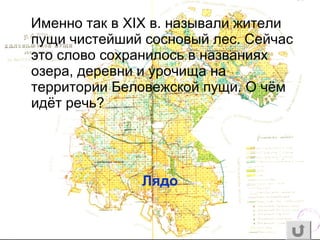 Именно так в XIX в. называли жители
пущи чистейший сосновый лес. Сейчас
это слово сохранилось в названиях
озера, деревни и урочища на
территории Беловежской пущи. О чём
идёт речь?
Лядо
 