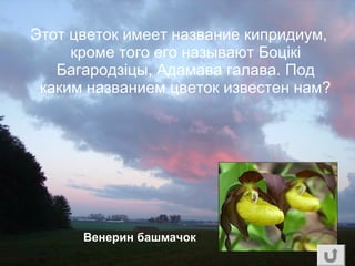 Этот цветок имеет название кипридиум,
кроме того его называют Боцікі
Багародзіцы, Адамава галава. Под
каким названием цветок известен нам?
Венерин башмачок
 