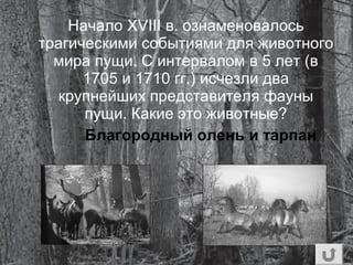 Начало XVIII в. ознаменовалось
трагическими событиями для животного
мира пущи. С интервалом в 5 лет (в
1705 и 1710 гг.) исчезли два
крупнейших представителя фауны
пущи. Какие это животные?
Благородный олень и тарпан
 