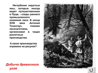 Неглубокие округлые
ямы, которые иногда
видят путешественники
в Пуще, - следы раннего
промышленного
освоения леса. В конце
XVIII века Антоний
Тизенгауз, помимо
лесозаготовок,
организовал в чащах
различные
производства.
А какое производство
отражено на рисунке?
Добыча древесного
угля
 