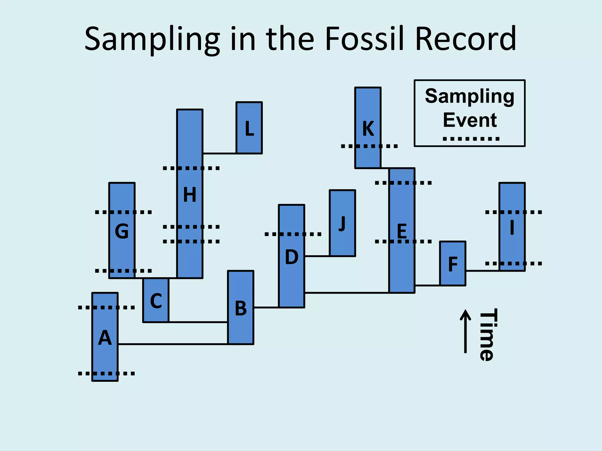 Sampling in the Fossil Record
G
H
Sampling
Event
E
K
F
J I
D
C
Time
B
L
A
 