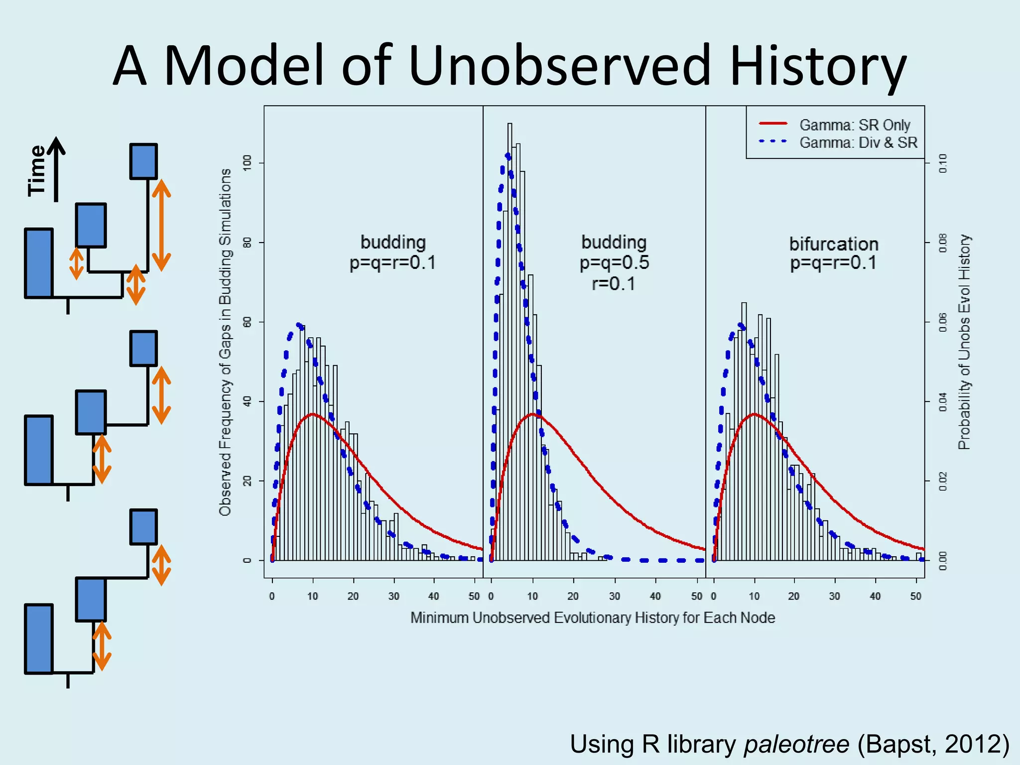 A Model of Unobserved History
Time
Using R library paleotree (Bapst, 2012)
 