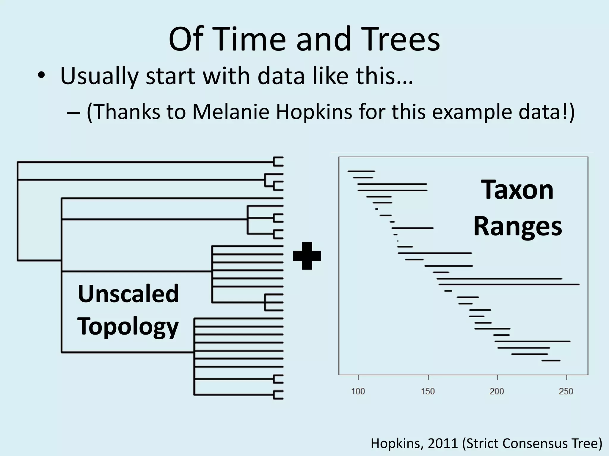 Of Time and Trees
• Usually start with data like this…
– (Thanks to Melanie Hopkins for this example data!)
Taxon
Ranges
Unscaled
Topology
Hopkins, 2011 (Strict Consensus Tree)
 