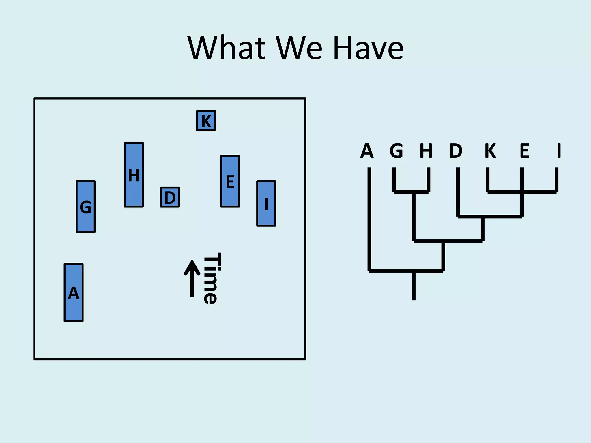 What We Have
A H KG E ID
A
K
IG
H
D
E
Time
 