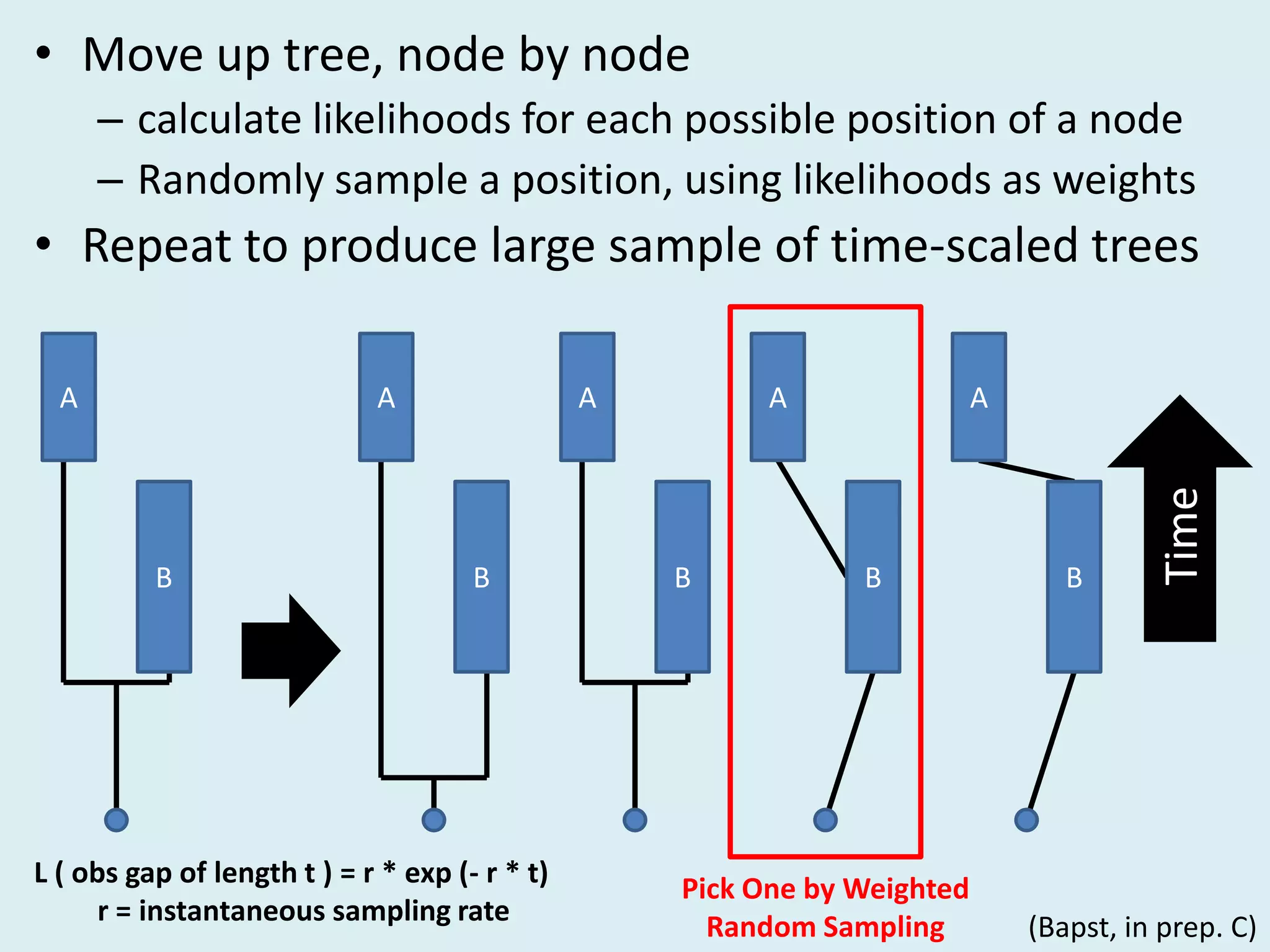 • Move up tree, node by node
– calculate likelihoods for each possible position of a node
– Randomly sample a position, using likelihoods as weights
• Repeat to produce large sample of time-scaled trees
B
A
B
A
B
A
B
A
B
A
Time
Pick One by Weighted
Random Sampling (Bapst, in prep. C)
L ( obs gap of length t ) = r * exp (- r * t)
r = instantaneous sampling rate
 