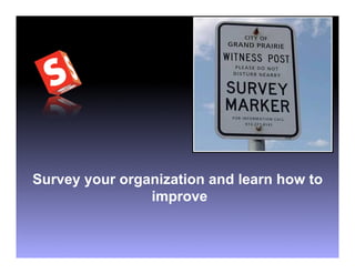 Survey your organization and learn how to
                improve
 