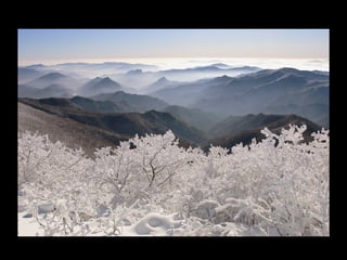 Sv Principerna & 3  Heliga böcker