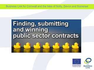 Business Link for Cornwall and the Isles of Scilly, Devon and Somerset 