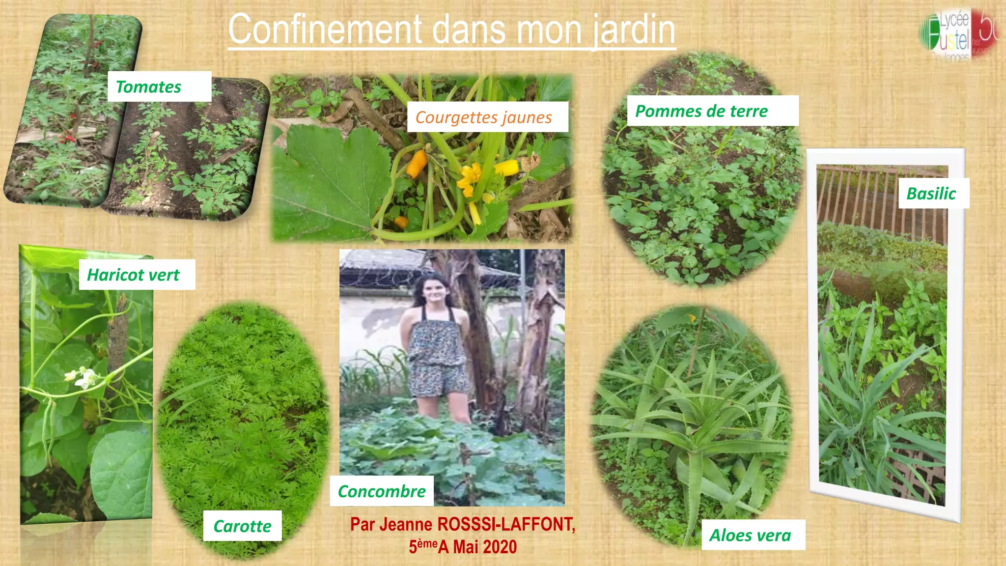 Confinement dans mon jardin
Par Jeanne ROSSSI-LAFFONT,
5èmeA Mai 2020
Carotte
Courgettes jaunes
Aloes vera
Concombre
Tomates
Haricot vert
Pommes de terre
Basilic