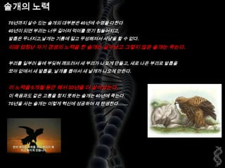 솔개의 노력70년까지 살수 있는 솔개의 대부분은 40년에 수명을 다한다40년이 되면 부리는 너무 길어져 먹이를 쪼기 힘들어지고, 발톱은 무녀지고,날개는 기름에 절고 무성해져서 사냥을 할 수 없다. 이때 엄청난 자기 갱생의 노력을 한솔개는 살아남고 그렇지 않은 솔개는 죽는다. 부리를 일부러 돌에 부딪혀 깨뜨려서 새 부리가 나오게 만들고, 새로 나온 부리로 발톱을 쪼아 없애서 새 발톱을, 날개를 뽑아서 새 날개가 나오게 만든다. 이 노력을 6개월 동안 해서 30년을 더 살아남는다.이 죽음과도 같은 고통을 참지 못하는 솔개는 40년에 죽는다.70년을 사는 솔개는 이렇게 혁신에 성공하여 재 탄생한다…….