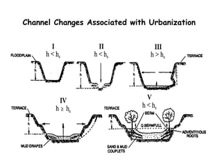 Channel Changes Associated with Urbanization
 