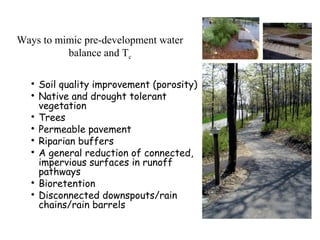 Ways to mimic pre-development water
balance and Tc

Soil quality improvement (porosity)

Native and drought tolerant
vegetation

Trees

Permeable pavement

Riparian buffers

A general reduction of connected,
impervious surfaces in runoff
pathways

Bioretention

Disconnected downspouts/rain
chains/rain barrels
 