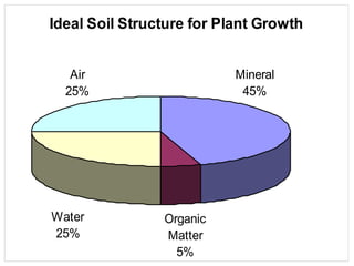 Ideal Soil Structure for Plant Growth
Mineral
45%
Organic
Matter
5%
Water
25%
Air
25%
 