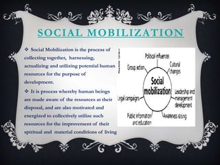 role of voluntary organisation | PPTX