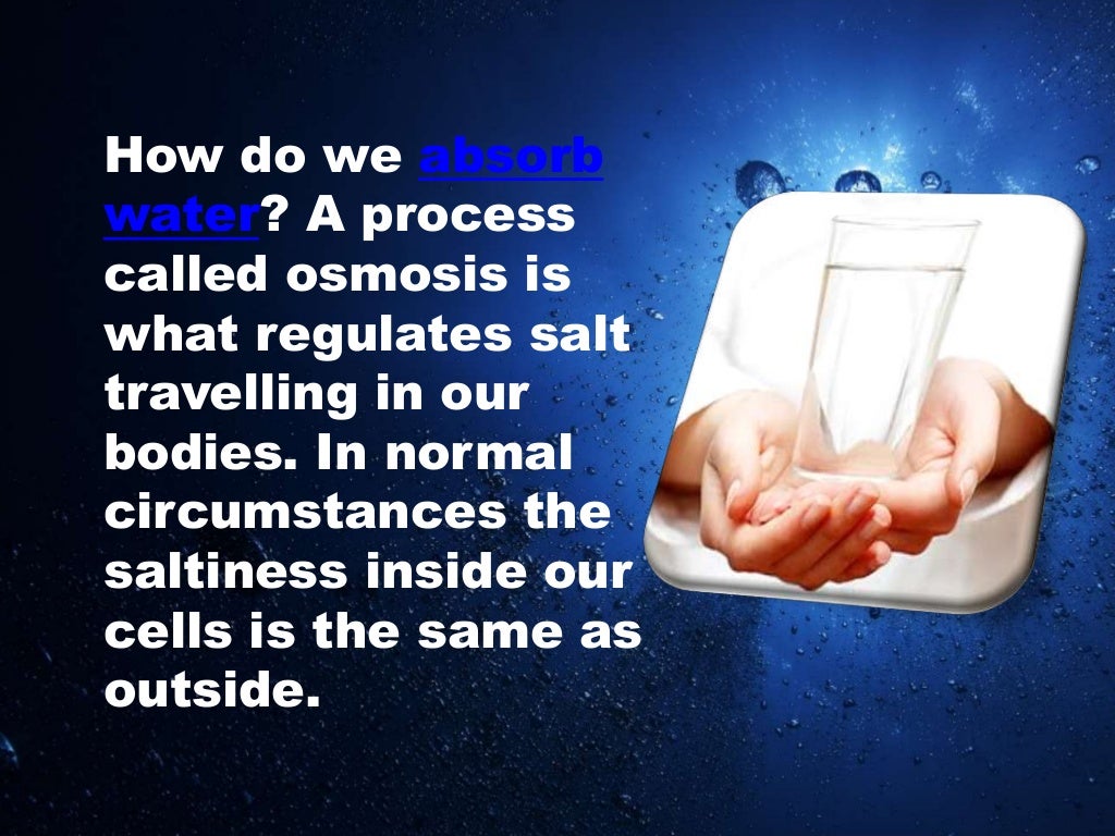 Why can't we drink salt water?