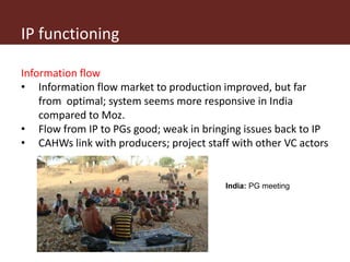 Operationalizing inclusive innovation: Lessons from innovation platforms in livestock value chains in India and Mozambique