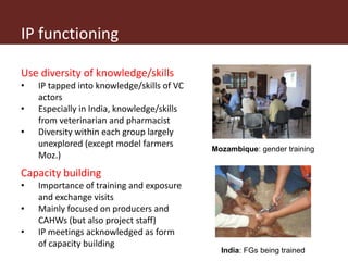 Operationalizing inclusive innovation: Lessons from innovation platforms in livestock value chains in India and Mozambique