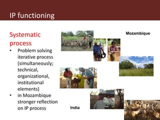 Operationalizing inclusive innovation: Lessons from innovation platforms in livestock value chains in India and Mozambique