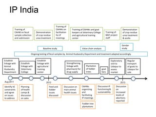Operationalizing inclusive innovation: Lessons from innovation platforms in livestock value chains in India and Mozambique