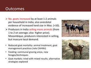Operationalizing inclusive innovation: Lessons from innovation platforms in livestock value chains in India and Mozambique