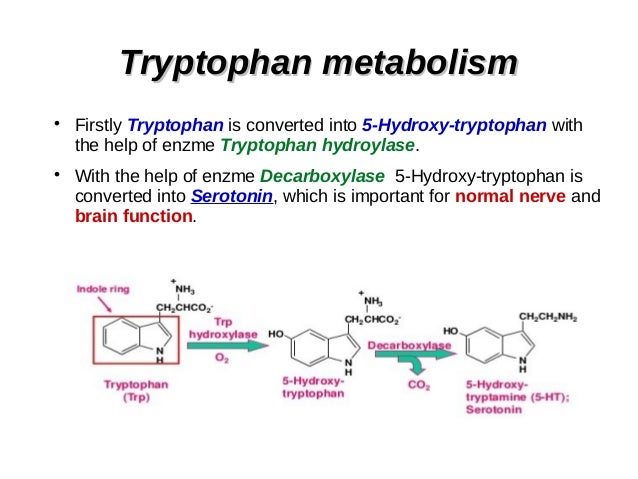 Melatonin Chemical Properties Melatonin Chemical Properties