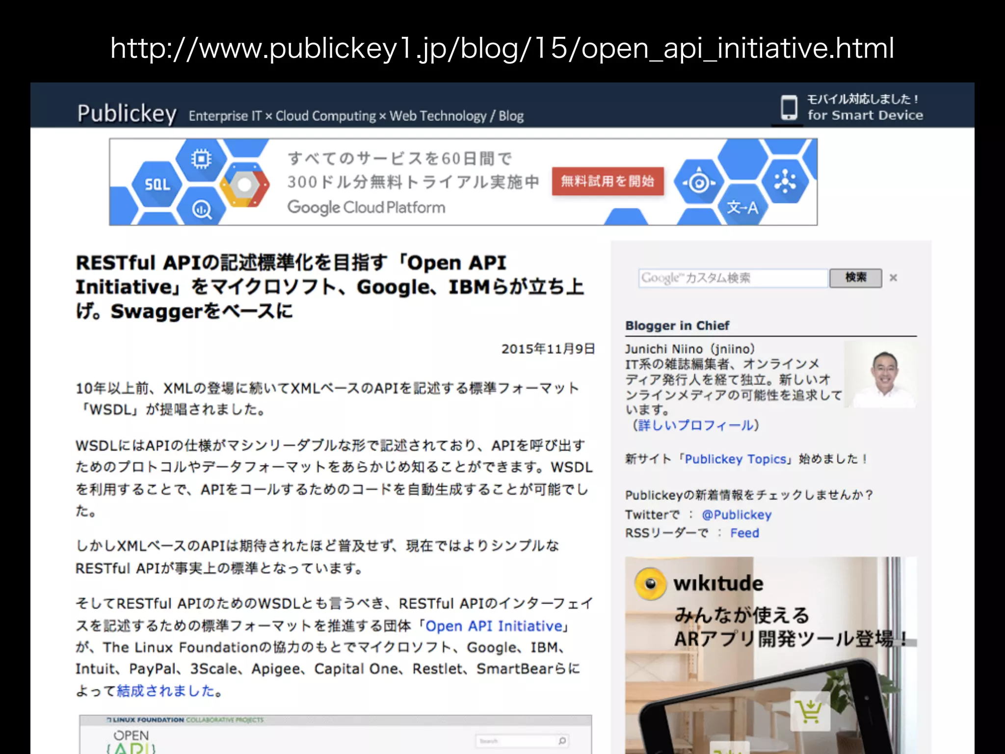 http://www.publickey1.jp/blog/15/open_api_initiative.html
 