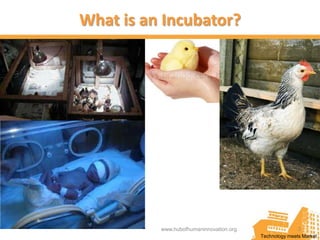 What is an Incubator?




          www.hubofhumaninnovation.org                  3
                                         Technology meets Market
 