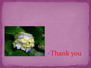 Thank you
 