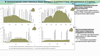 В типологической схеме верховых болот Беларуси выделено 4 типа, объединенных в 2 группы.
А-Б –
Северозападноевропейские
сфагновые верховые
(fuscum-болота)
Кустарничково-сфагновые с
ГМК и ГОзК; Сосново-пушицево-
кустарничково-сфагновые
В-Г –
Восточноевропейские
сфагновые верховые
(magellanicum-болота)
В – Сосново-кустарничково-
сфагновые со сфагновыми
мочажинами
Г – Сосновые пушицево-
кустарничково-сфагновые
 