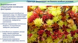 Сфагнум формирует на болоте особые условия
1. Исключительной способностью
удерживать воду, что обеспечивает
насыщение водой и препятствует
доступу кислорода к органическим
отложениям, замедляя их
разложение;
2. Малым содержанием питательных
веществ, что еще больше
замедляет разложение;
Выражаются они
следующими основными
факторами:
3. Способностью создавать кислую
среду, препятствующую
деятельности большинства
микроорганизмов.
4. Содержанием природных
антсептиков (сфагновых кислот).
 