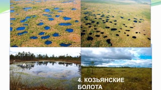 4. КОЗЬЯНСКИЕ
БОЛОТА
 