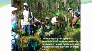  Почти нетронутая природа,
уникальные болотные ланшафты
привлекают сюда приверженцев
экологического туризма со всего
мира.
 