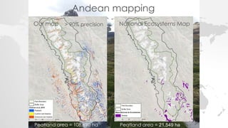 Andean mapping
> 90% precision
Our map National Ecosystems Map
Peatland area = 108,690 ha Peatland area = 21,549 ha
 
