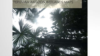 PERUVIAN AMAZON WETLANDS MAPS
 