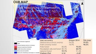 Pole forest in the hydromorphic
area have ~1390 Mg C ha-1
Palm swamps have ~828
Mg C ha-1
OUR MAP
User accuracy Draper 2014 This map
Herbaceous-shrub swamp 94.0% 99.0%
Palm swamp forest 78.9% 98.3%
Pole forest 80.0% 95.0%
Floodplain alluvial forest 80.1% 84.9%
Upland forest 99.7% 91.5%
Carbon (Pg) 3.14 ~3.47
 