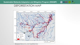 Sustainable Wetlands Adaptation and Mitigation Program (SWAMP)
DEFORESTATION MAP
Bourgeau-Chavez, L.L., et al. Unpublished data
 